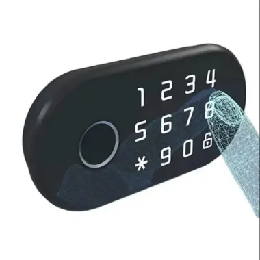 Fingerprint and password system drawer and cabinet lock